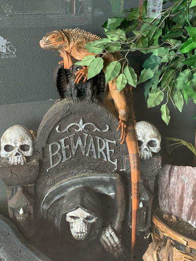 Explore miami tattoo ideas, creative tattoo ideas in Albuquerque, available at Tattoosbyfrankieg