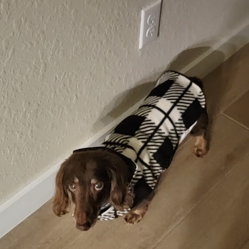 Pet Supply Store «Petco Animal Supplies», reviews and photos, 2353 SE Federal Hwy, Stuart, FL 34994, USA