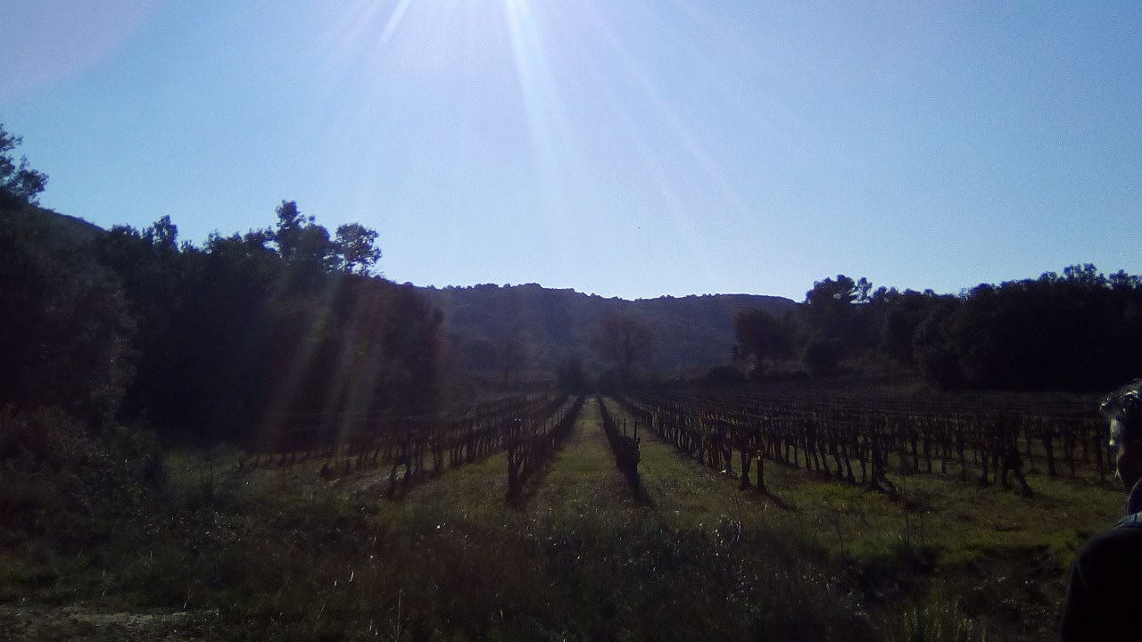 Photo n° 23 de l'avis de S.Israel.a fait le 08/02/2018 à 16:26