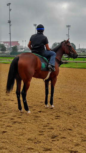 Museum «Kentucky Derby Museum», reviews and photos, 704 Central Ave, Louisville, KY 40208, USA