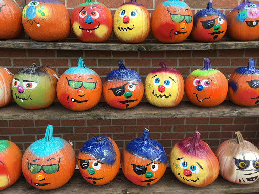 Grocery Store «Whole Foods Market», reviews and photos, 5 Sugar Hollow Rd, Danbury, CT 06810, USA