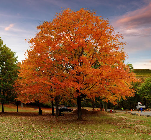 State Park «West Rock Ridge State Park», reviews and photos, 1134 Wintergreen Ave, New Haven, CT 06514, USA