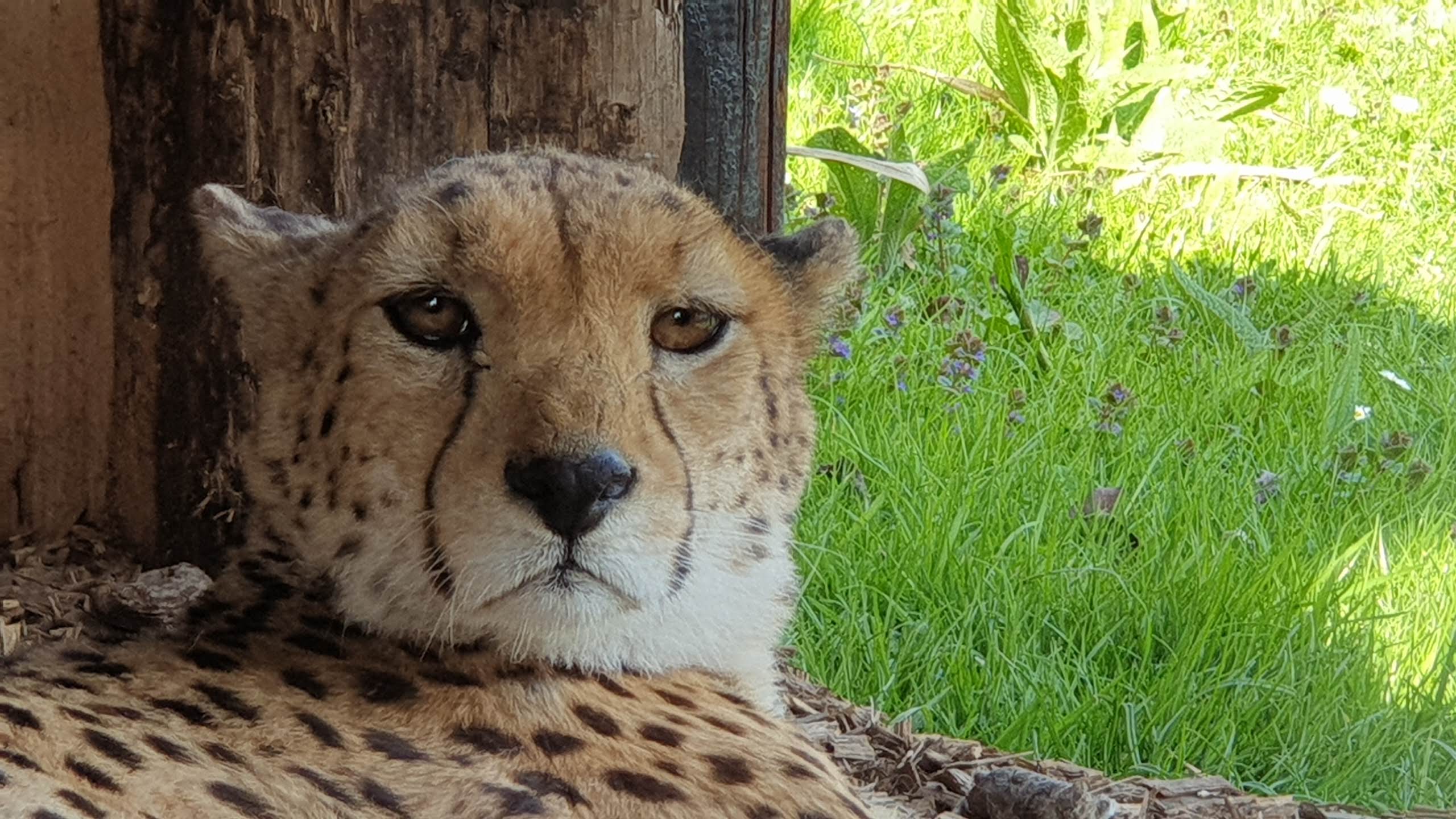 Photo n° 8 de l'avis de Simon.a fait le 05/04/2019 à 11:35