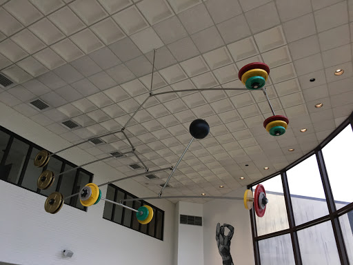 Sporting Goods Store «Weight Lifting Hall Of Fame», reviews and photos, 3300 Board Rd, York, PA 17406, USA