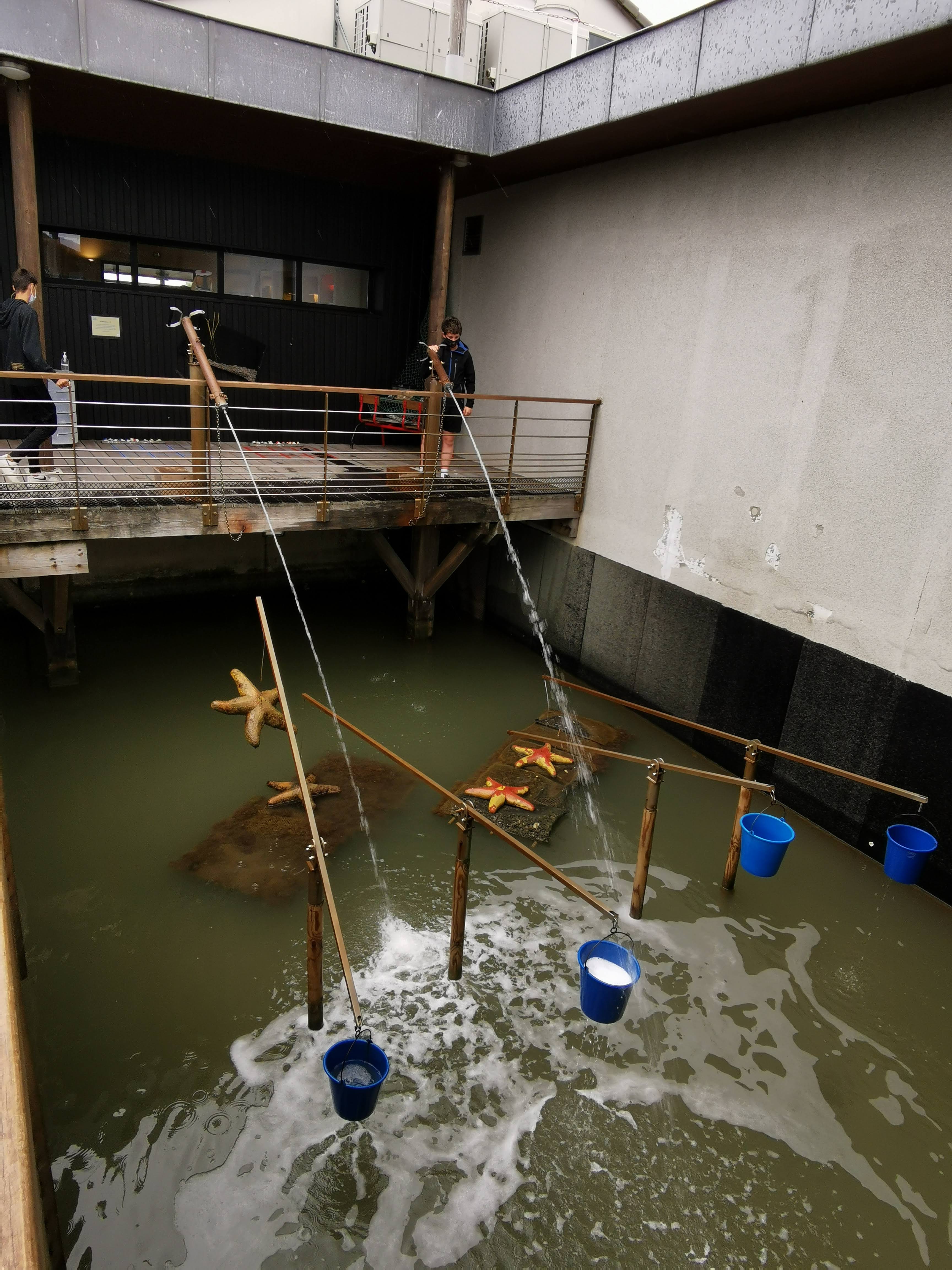 Photo n° 5 de l'avis de Christophe.a fait le 03/08/2021 à 08:20