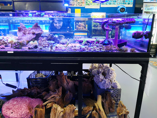 Tropical Fish Store «Aquatic Design», reviews and photos, 1629 N Central Expy, Plano, TX 75075, USA