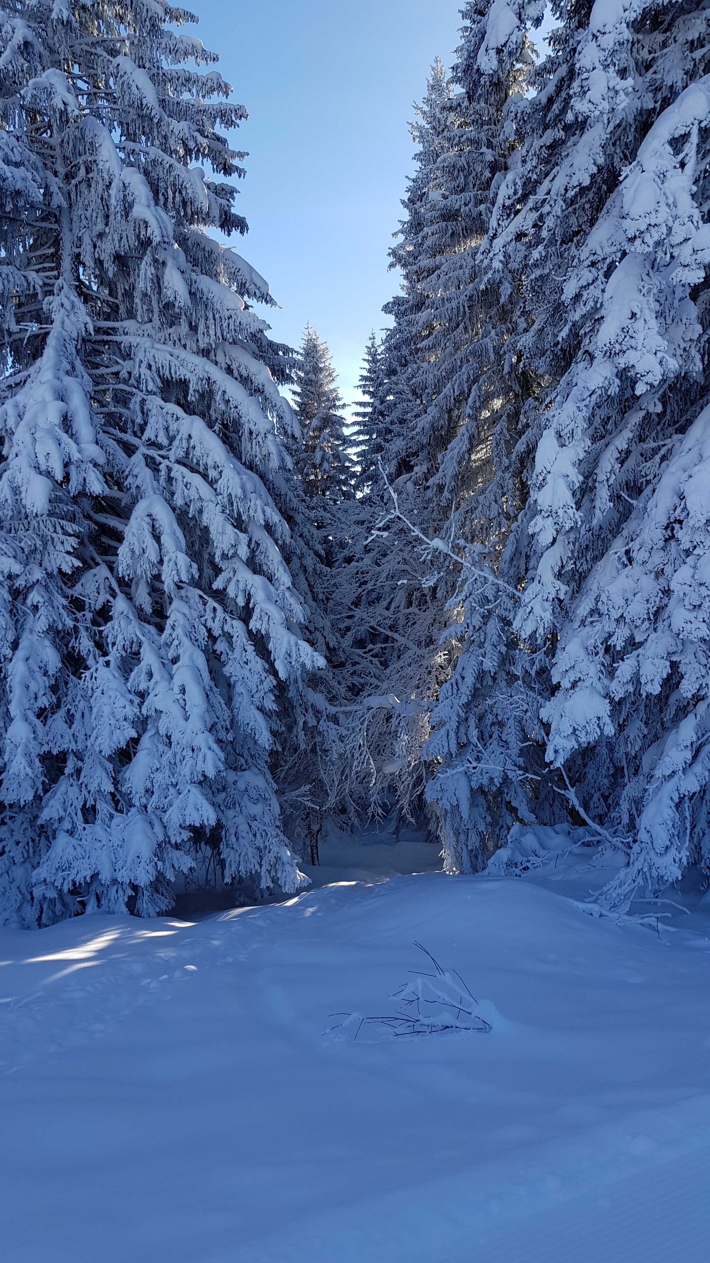 Photo n° 1 de l'avis de Geoffrey.o fait le 27/01/2019 à 19:40