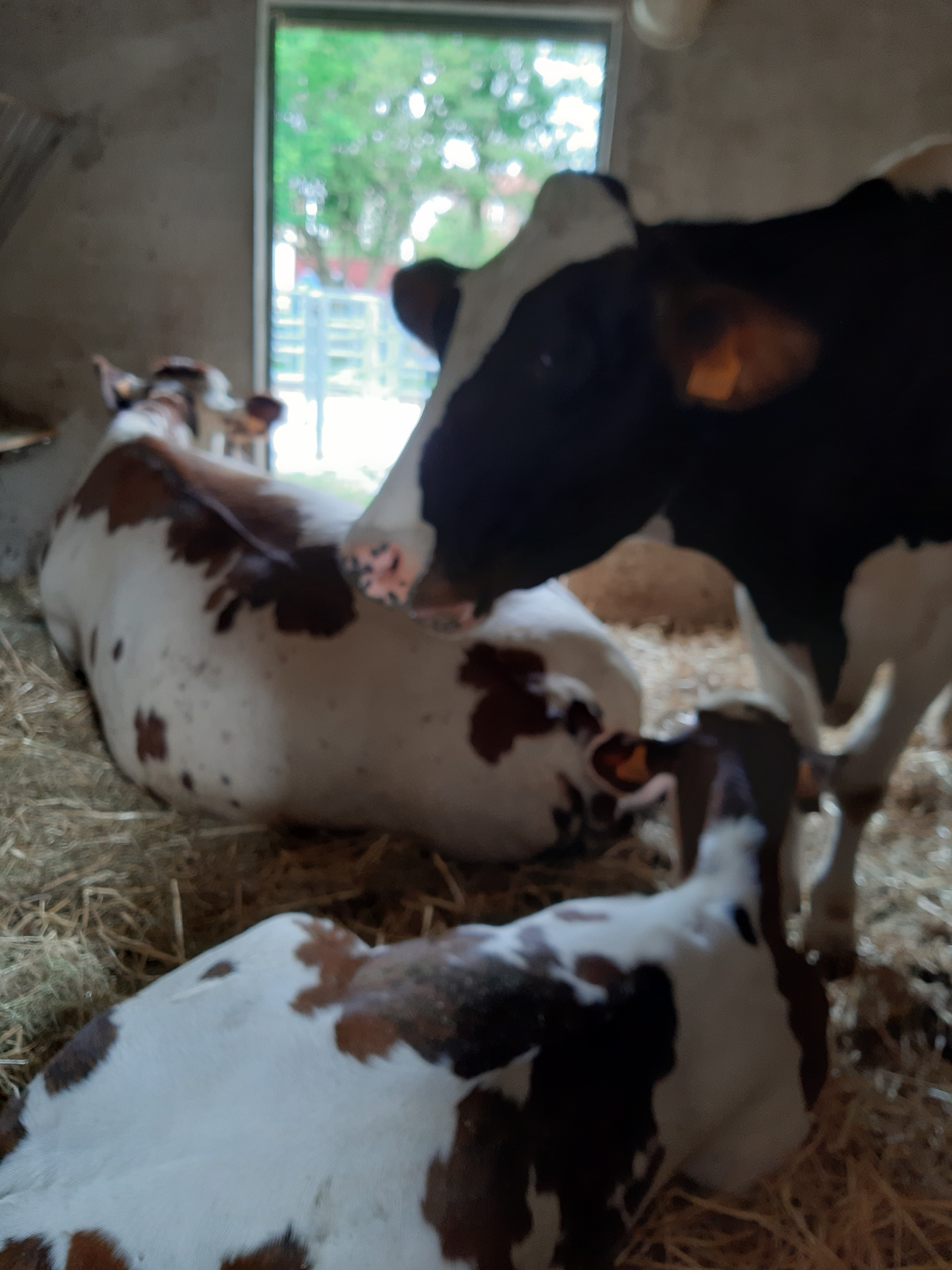 Photo n° 1 de l'avis de Marie.a fait le 10/06/2020 à 10:25