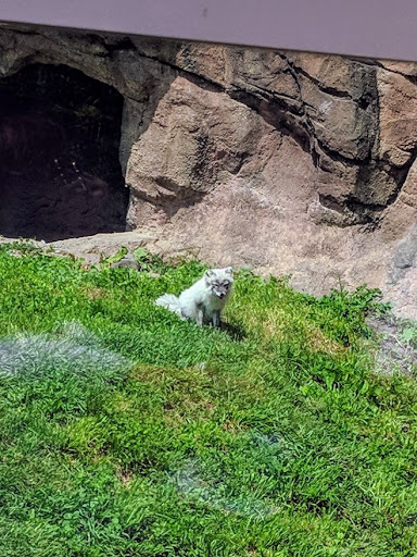 Zoo «Arctic Ring of Life», reviews and photos, 8450 W 10 Mile Rd, Royal Oak, MI 48067, USA