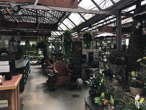 Florist «Phoebe Floral Shop», reviews and photos, 2102 Hamilton St, Allentown, PA 18104, USA