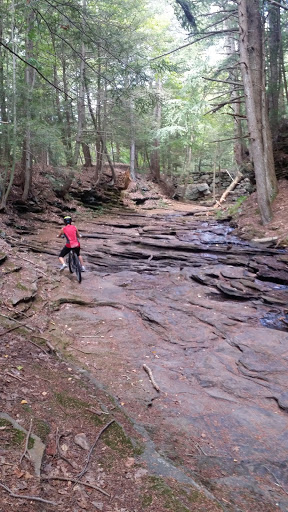 Bicycle Store «AirLine Cycles», reviews and photos, 2 Barton Hill Rd, East Hampton, CT 06424, USA