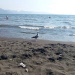 Photo n°14 de l'avis de Francesco.o fait le 26/05/2018 à 17:47 sur le  RenaNera Beach à Torre Annunziata