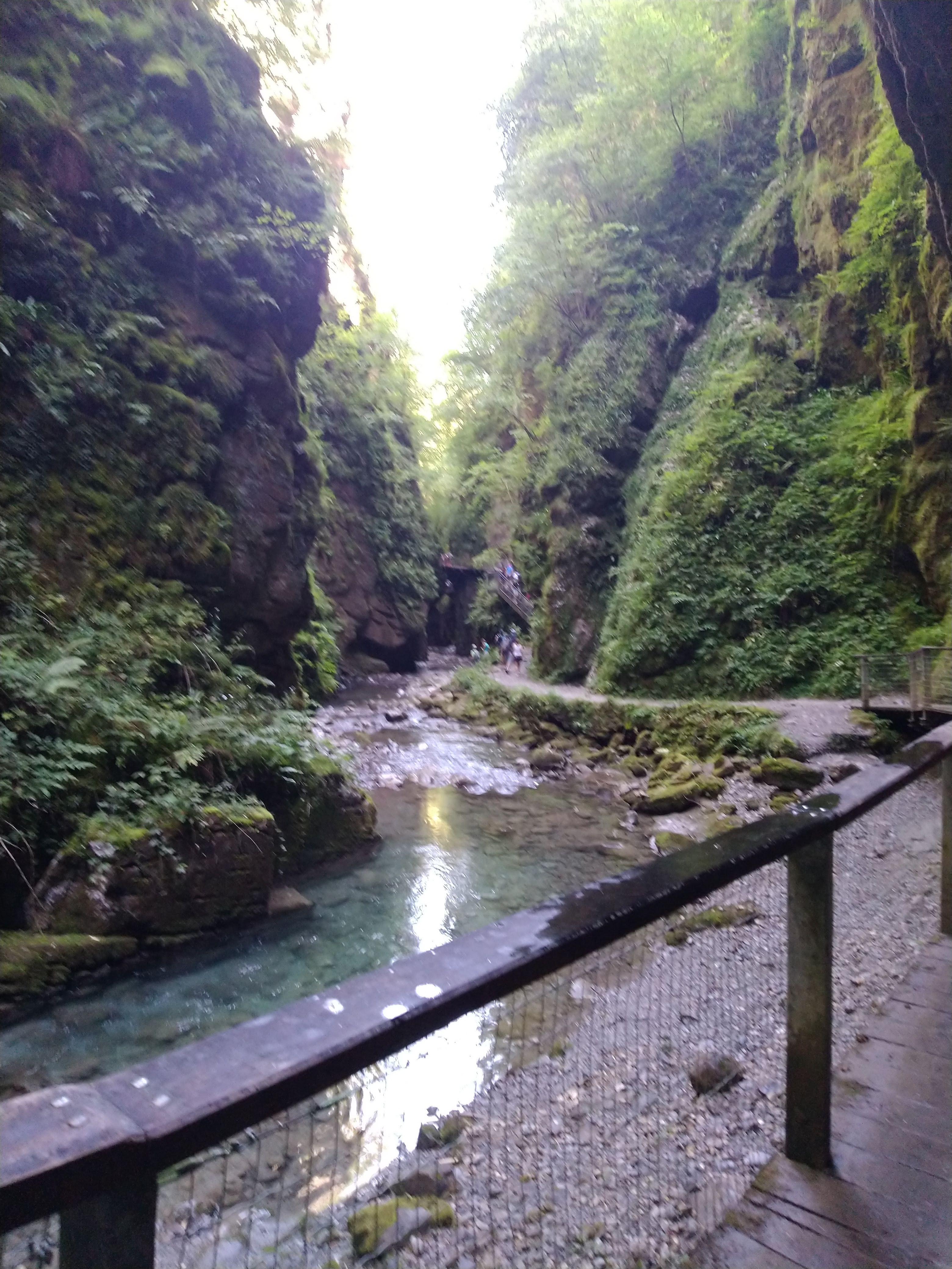 Photo n° 1 de l'avis de Patrick.e fait le 19/07/2020 à 20:56