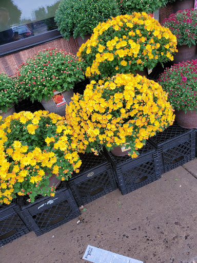 Grocery Store «Family Fresh Market», reviews and photos, 110 W 4th St, New Richmond, WI 54017, USA