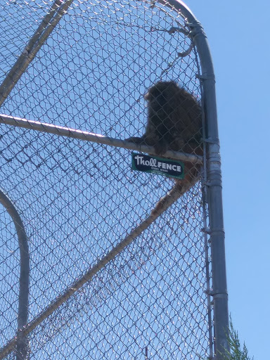 Zoo «Sierra Safari Zoo», reviews and photos, 10200 N Virginia St, Reno, NV 89506, USA