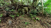 やぐら（胡桃山）