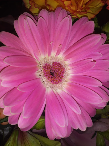 Florist «Nichols Florist», reviews and photos, 8620 Sierra Ave, Fontana, CA 92335, USA