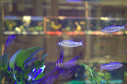 Pet Supply Store «CountryMax - Spencerport», reviews and photos, 4658 W Ridge Rd, Spencerport, NY 14559, USA