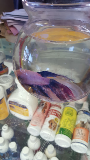 Pet Store «Mike Pet Center LLC», reviews and photos, 133 NJ-35, Neptune City, NJ 07753, USA