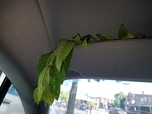 Supermarket «Super Mercado Chapala», reviews and photos, 5909 W Cermak Rd, Cicero, IL 60804, USA