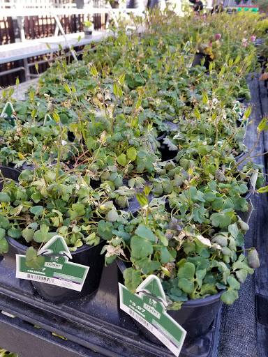 Department Store «Walmart Supercenter», reviews and photos, 150 Western Ave NW, Faribault, MN 55021, USA