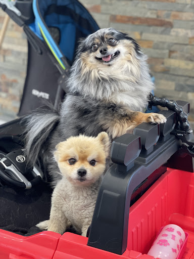 Car Dealer «Vanderstyne Toyota», reviews and photos, 4374 W Ridge Rd, Rochester, NY 14626, USA