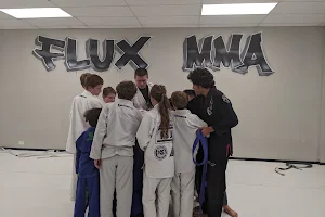 Flux MMA image
