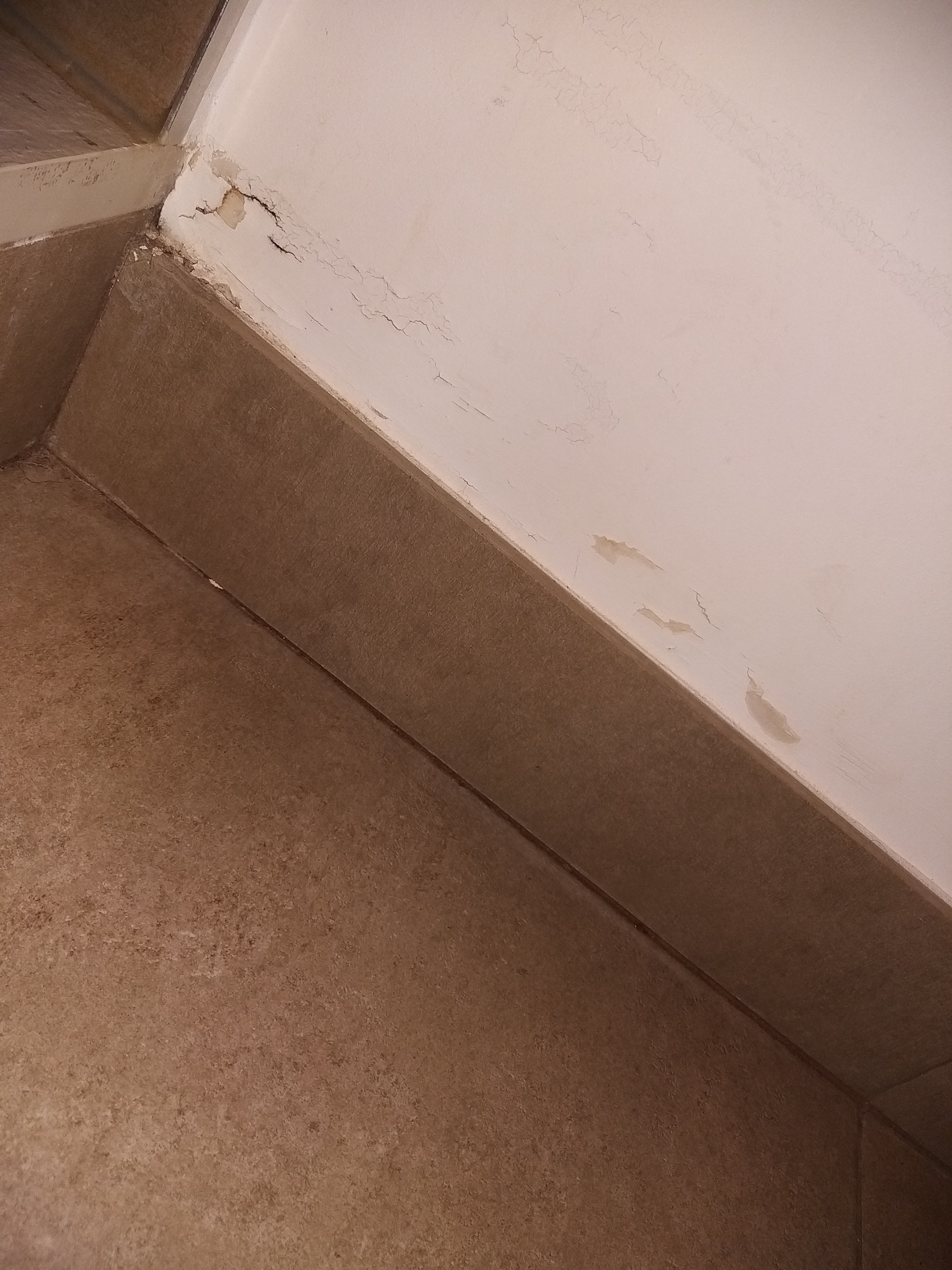 Photo n° 9 de l'avis de Nell.e fait le 05/10/2019 à 08:29