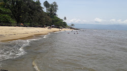 Photo de Plage des Cigales avec un rivage spacieux