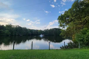 Sims Lake image