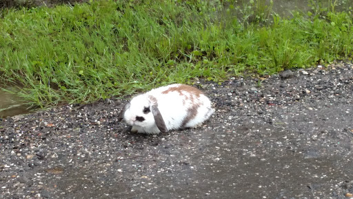 Winery «Willow Creek Winery and Farm», reviews and photos, 160-168 Stevens St, West Cape May, NJ 08204, USA