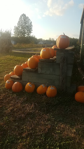 Grocery Store «Liepes Farm & Market», reviews and photos, 3135 S Cologne Ave, Mays Landing, NJ 08330, USA