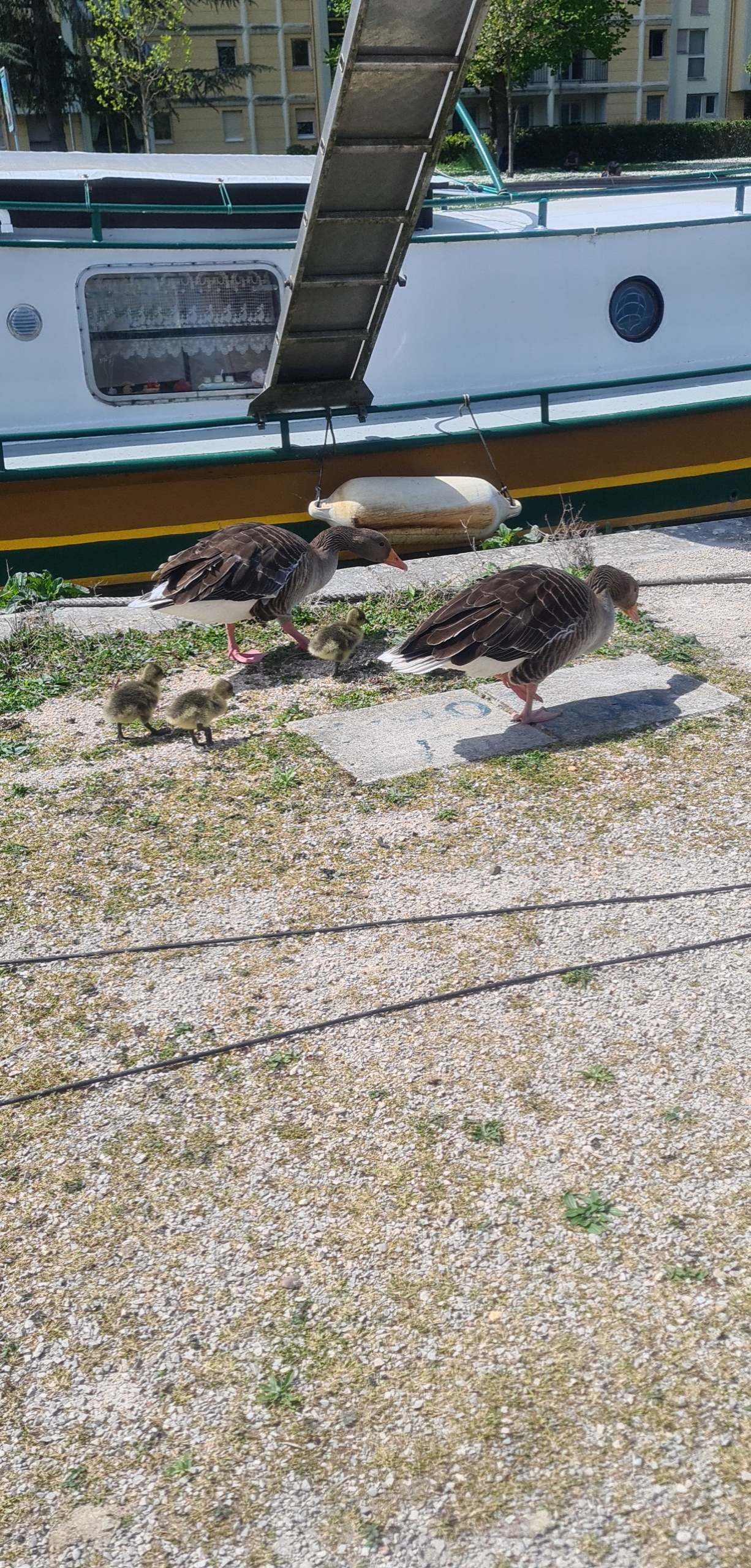 Photo n° 3 de l'avis de David.u fait le 27/04/2022 à 14:27