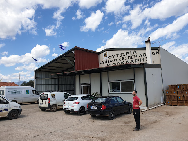 ΦΥΤΩΡΙΑ ΦΑΚΛΑΡΗ - Άργος