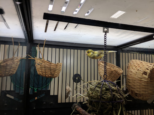 Pet Supply Store «PetSmart», reviews and photos, 7290 W Bell Rd, Glendale, AZ 85308, USA