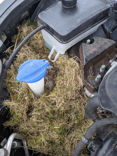 Hyundai Dealer «Key Hyundai of Manchester», reviews and photos, 21 Hartford Turnpike, Vernon, CT 06066, USA