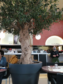 Atmosphère du Restaurant italien Del Arte à Carcassonne - n°7