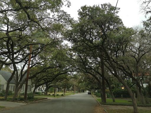 Golf Course «The Quarry Golf Course», reviews and photos, 444 E Basse Rd, San Antonio, TX 78209, USA