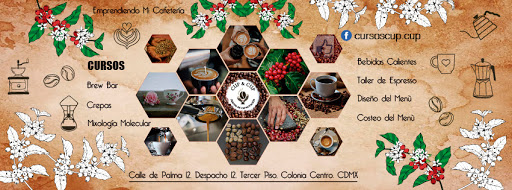 cup & cup centro de capacitación de cafeterías y bares ( cursos de barismo)