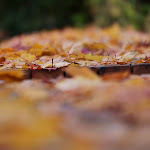 Photo n°2 de l'avis de Frank.u fait le 30/10/2023 à 16:45 sur le  Kitzmann Bräuschänke à Erlangen