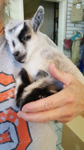 Pet Supply Store «Concord Feed Pet & Livestock Supplies», reviews and photos, 5288 Clayton Rd, Concord, CA 94521, USA