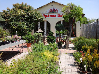 Györéné Turják Tünde - Orchidea Virágüzlet