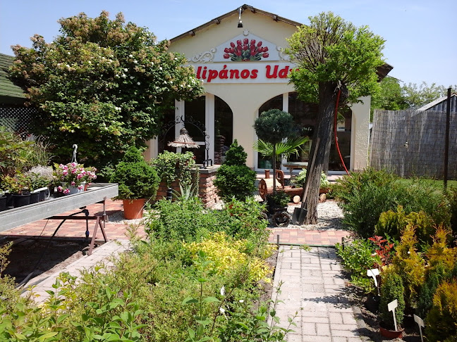 Györéné Turják Tünde - Orchidea Virágüzlet