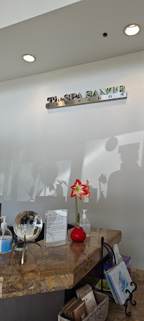 The Spa Santé and Salon - Photo 8 - Car repair in Pasadena, CA, Pasadena