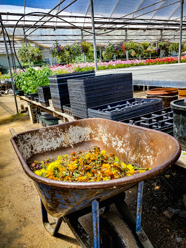 Florist «Sykes the Florist and Greenhouses», reviews and photos, 1300 Lawrence St, Lowell, MA 01852, USA