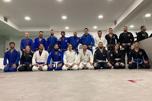 Carlos Cobrinha BJJ image