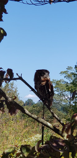 Nature Preserve «Audubon Greenwich», reviews and photos, 613 Riversville Rd, Greenwich, CT 06831, USA