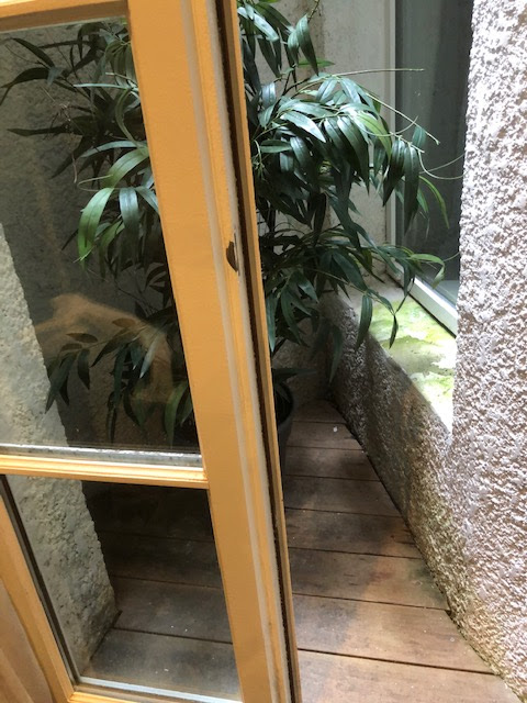 Photo n° 4 de l'avis de Odile.H fait le 09/07/2021 à 16:13