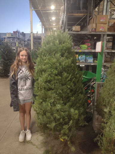 Home Improvement Store «The Home Depot», reviews and photos, 3600 Ranch Rd 620 S, Bee Cave, TX 78738, USA