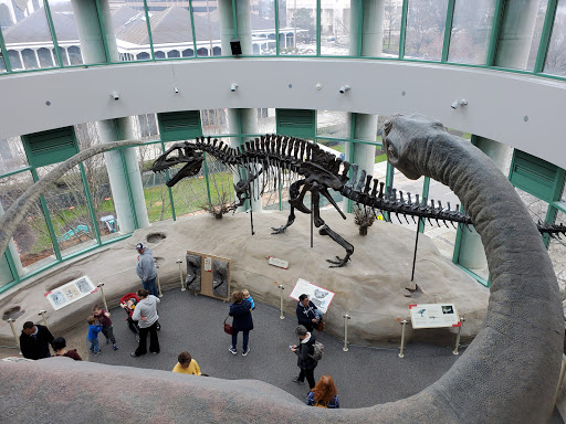 North Carolina Museum of Natural Sciences - AZexplained